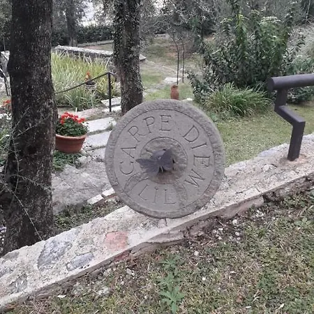 Lil Отель типа 